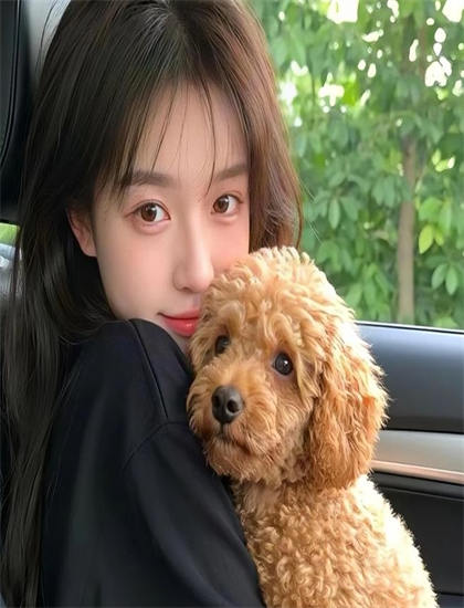 【武侠片专题】不良美少女家政妇的创作历程与幕后故事 ——武侠片的观影全攻略